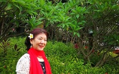 新岳乱合集500系列